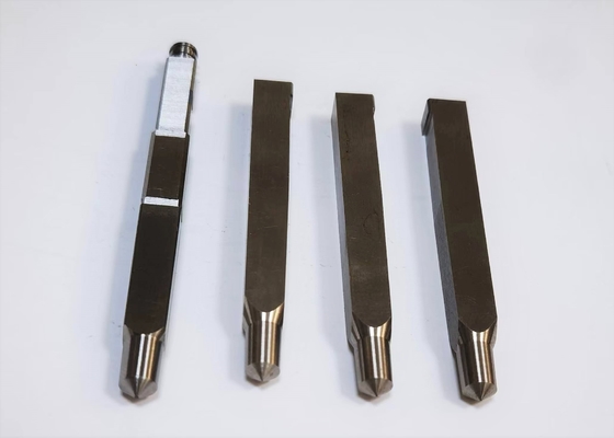 Kern Pin Injection Molding, TiCN-Einsatz-Kompressions-Formteil H13 NAK80