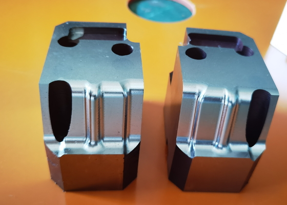 Die Druckguss-Hohlraum-Kern-Präzisions-Form-Teile, die HASCO MISUMI-Standard LOCHEN